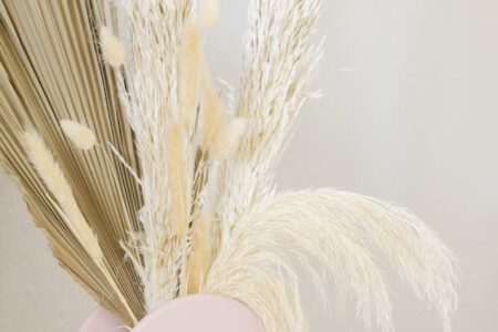 45747 123633 QHqtrOOFFpkWEAMiHYUEeytjeYrDZa5Iud2fE9zJLA4 6777610de1cd3.jpg